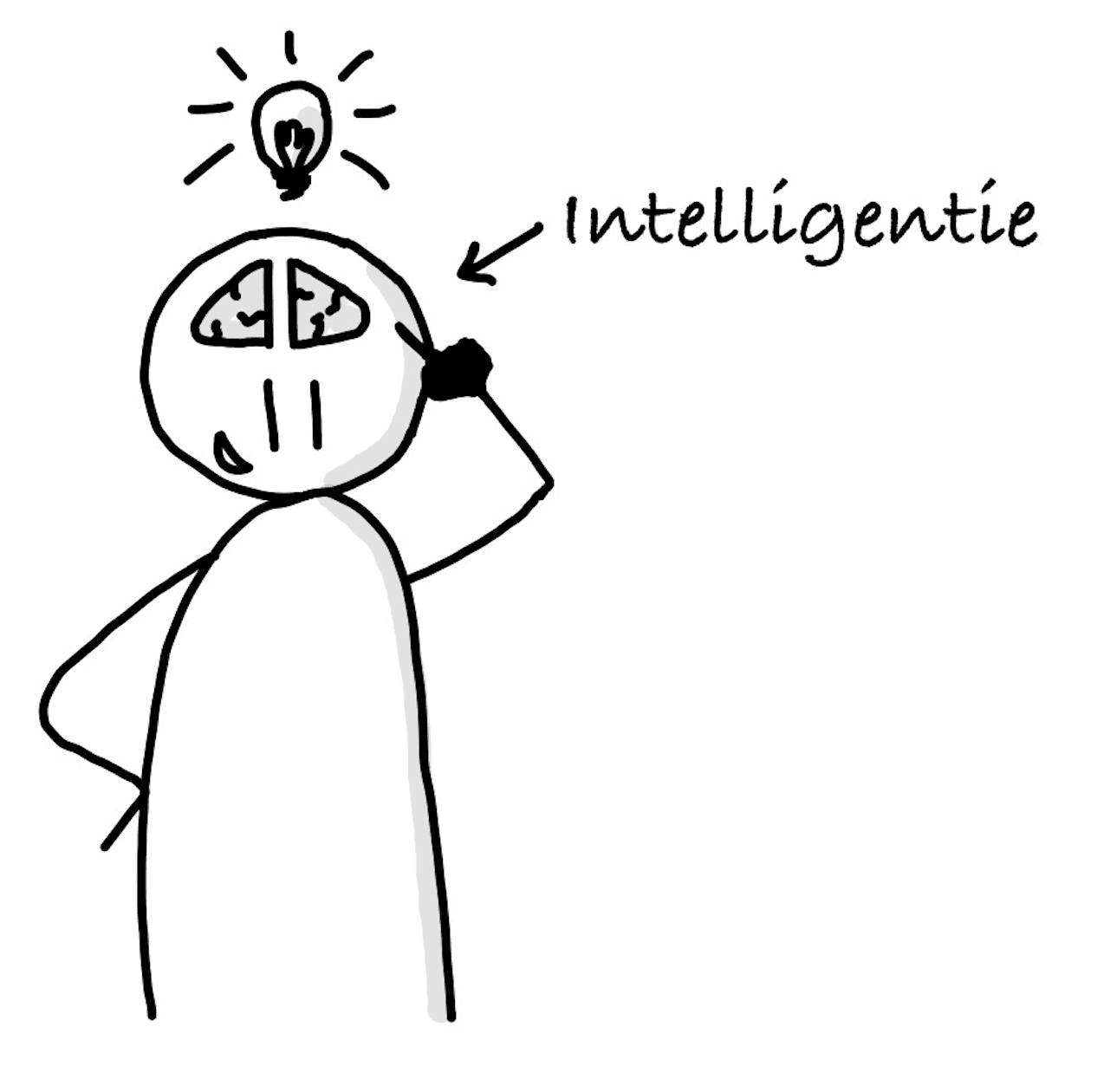 Intelligentie